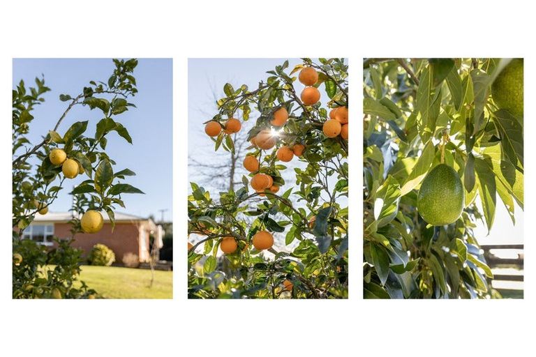 Photo of property in 63a Mountier Road, Whakamarama, Katikati, 3181