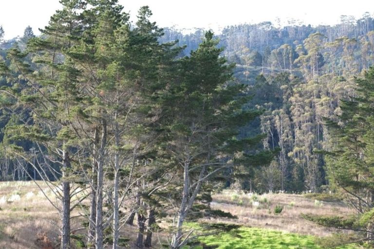 Photo of property in 30 Taha Puke Road, Okura Bush, Silverdale, 0794