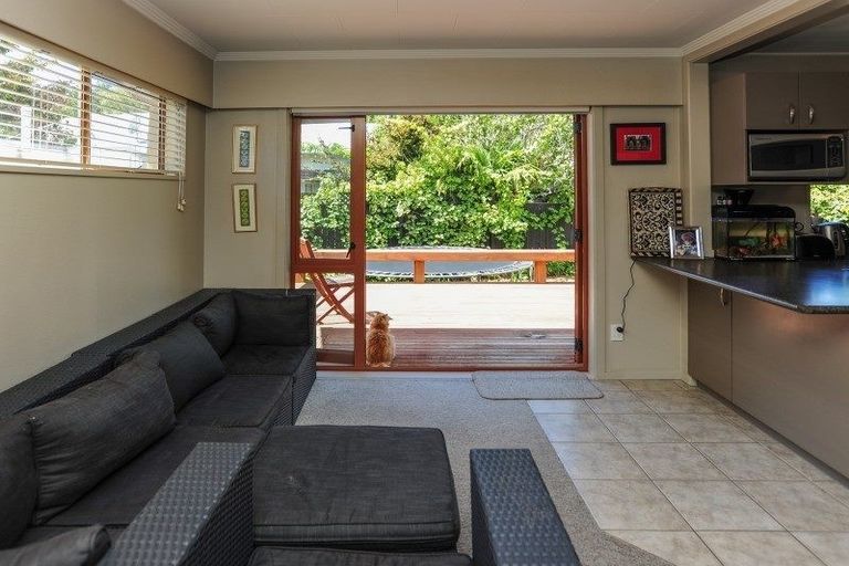 Photo of property in 21 Mchardy Street, Havelock North, 4130