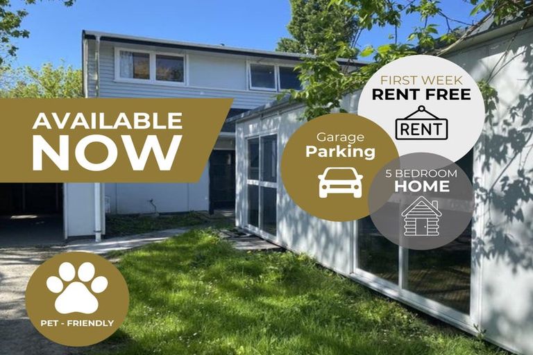 Photo of property in 16 York Street, Kaiti, Gisborne, 4010