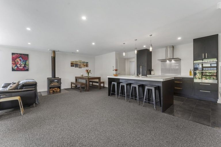 Photo of property in 16 Magnetic Place, Cromwell, 9310