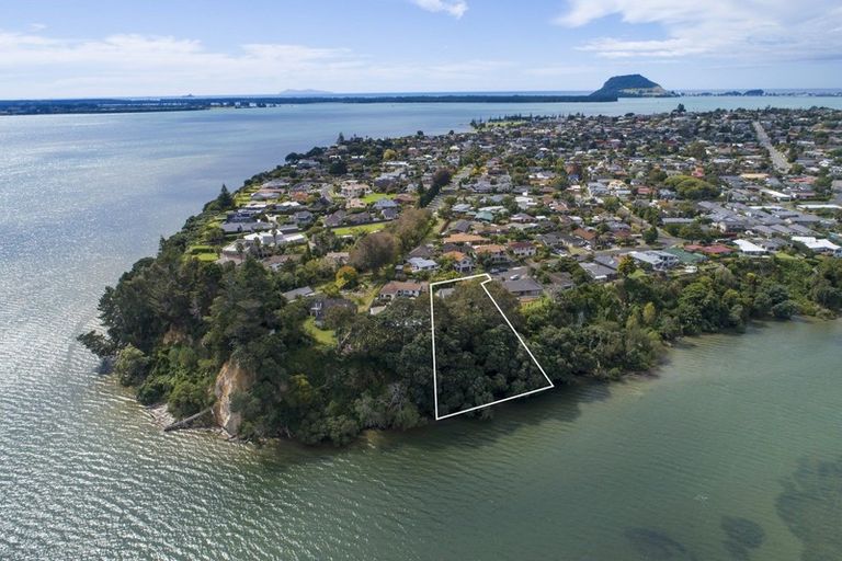 Photo of property in 43 Rewarewa Place, Matua, Tauranga, 3110