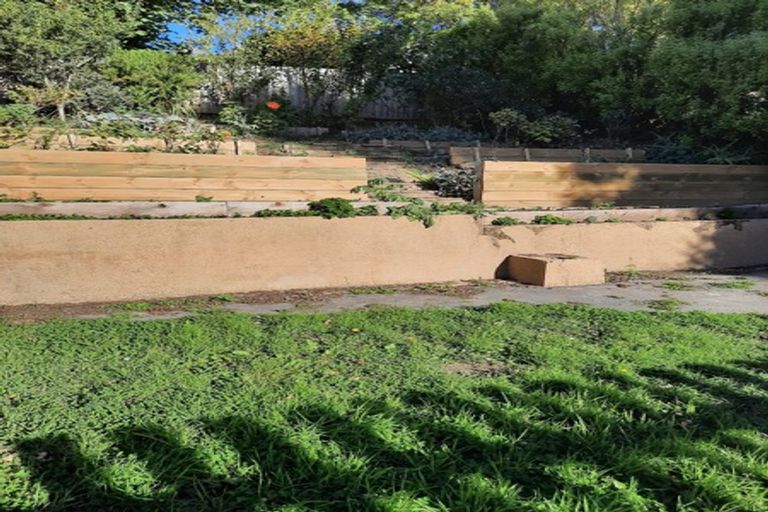 Photo of property in 206 North Road, North East Valley, Dunedin, 9010