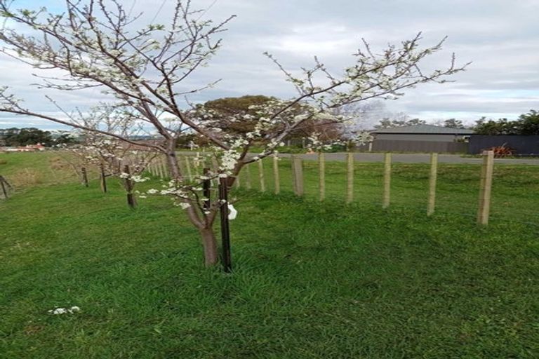 Photo of property in 64 Mount Biggs Road, Halcombe, Feilding, 4779