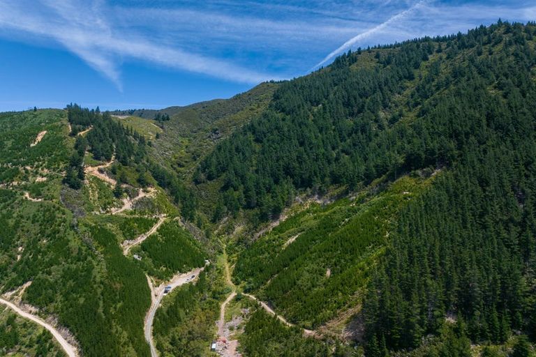 Photo of property in 785 Waikakaho Road, Tuamarina, Blenheim, 7273