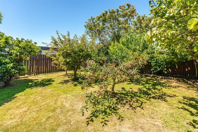 Photo of property in 19 Akepiro Place, Tawhero, Whanganui, 4501