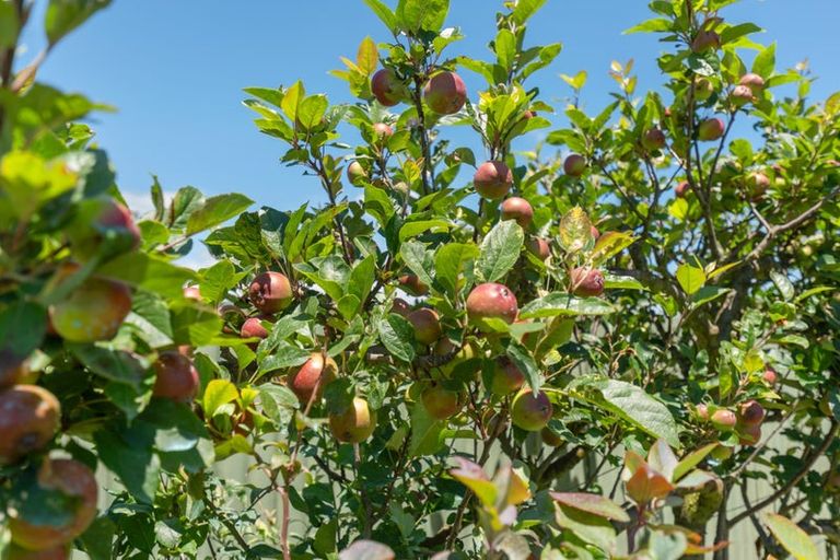 Photo of property in 6a Penrod Drive, Bell Block, New Plymouth, 4312