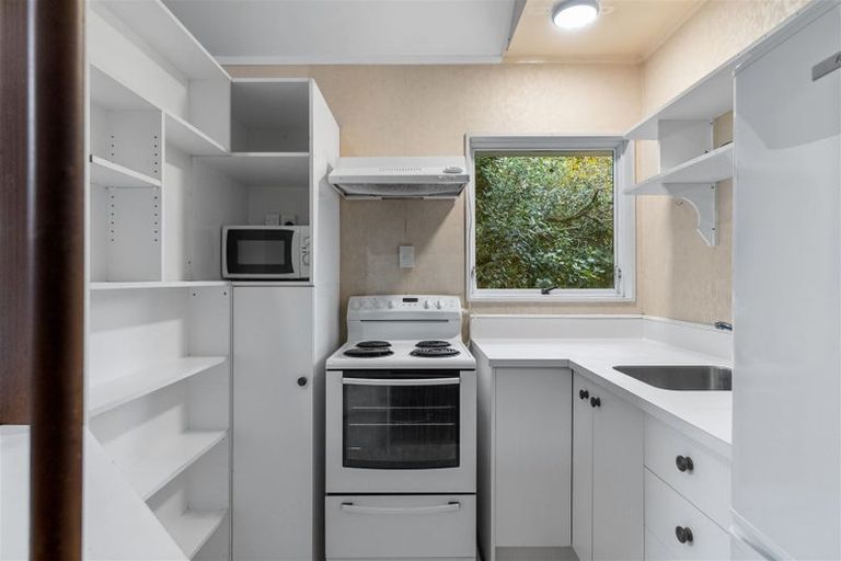 Photo of property in 64 Wellington Street, Hamilton East, Hamilton, 3216