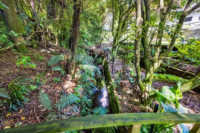 Photo of property in 24 Cassandra Street, Stratford, 4332