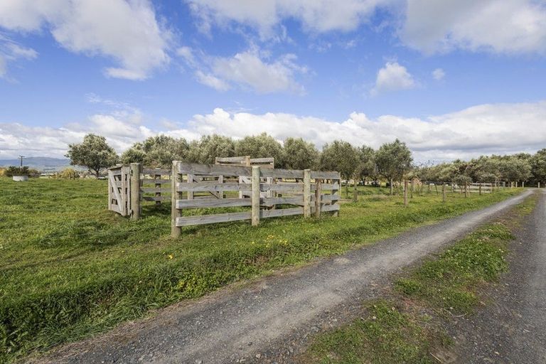 Photo of property in 2459 Cambridge Road, Te Awamutu, 3879