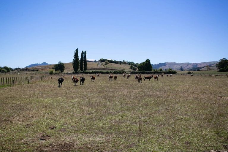 Photo of property in 4/11 Fencourt Road, Cambridge, 3496