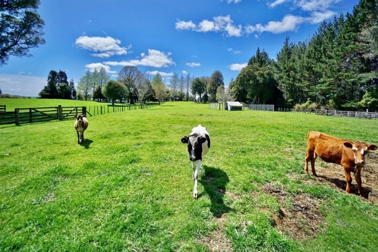 Photo of property in 1717 Te Matai Road, Te Ranga, Te Puke, 3188