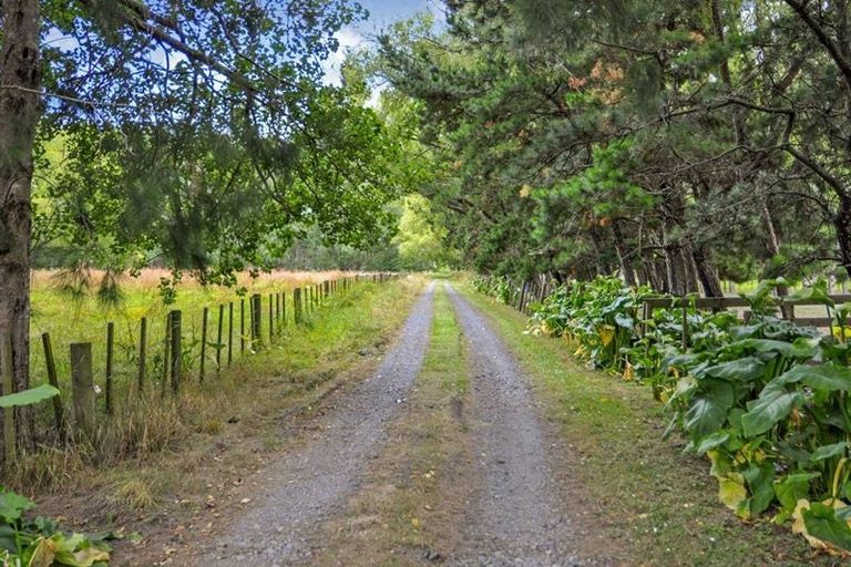 Photo of property in 143a Postman Road, Dairy Flat, Albany, 0794