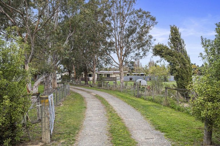 Photo of property in 176 Amberley Beach Road, Amberley, 7481