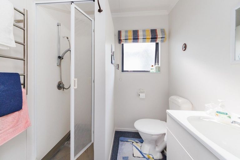 Photo of property in 101 Lincoln Street, Ashhurst, 4810