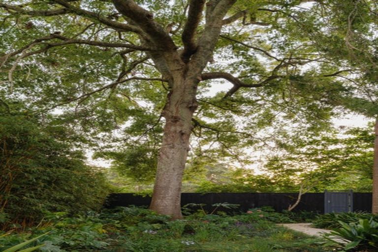 Photo of property in 13 Dexter Avenue, Mount Eden, Auckland, 1024