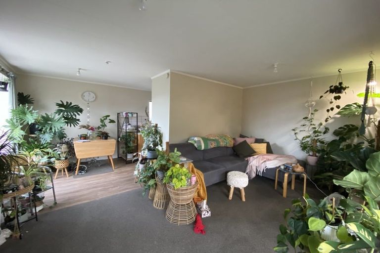 Photo of property in 9 March Street, Spring Creek, 7202