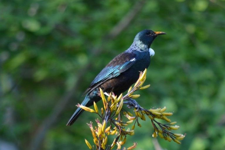 Photo of property in 136 Pohangina Valley Road East, Ashhurst, 4884