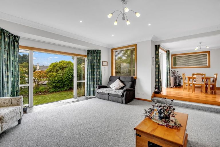 Photo of property in 17 Northfield Avenue, Opoho, Dunedin, 9010