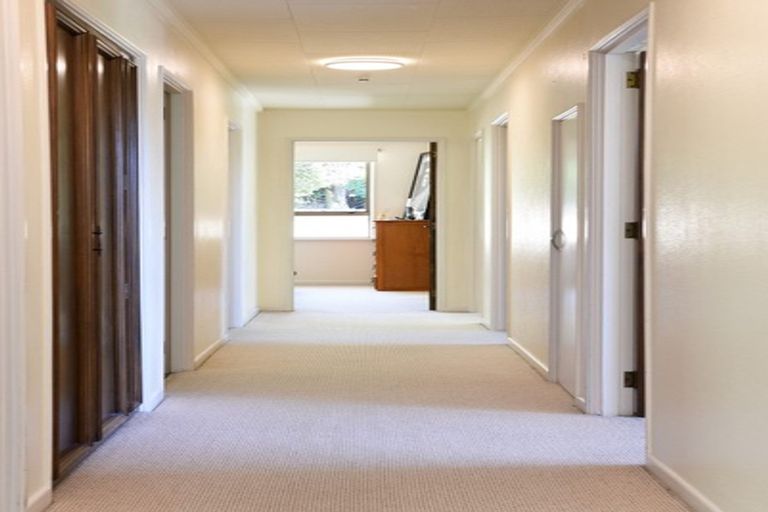 Photo of property in 38 Littlebourne Road, Roslyn, Dunedin, 9010