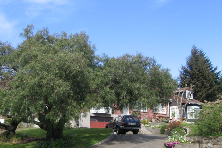 Photo of property in 24 Mcdowell Street, Springfield, Rotorua, 3015