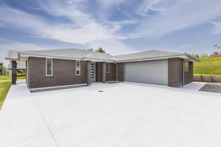 Photo of property in 91 Abbotsford Road, Waipawa, 4210