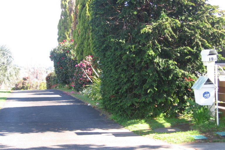 Photo of property in 19 Brookfield Terrace, Brookfield, Tauranga, 3110