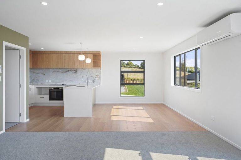 Photo of property in 14 Celeste Terrace, Peacocke, 3206