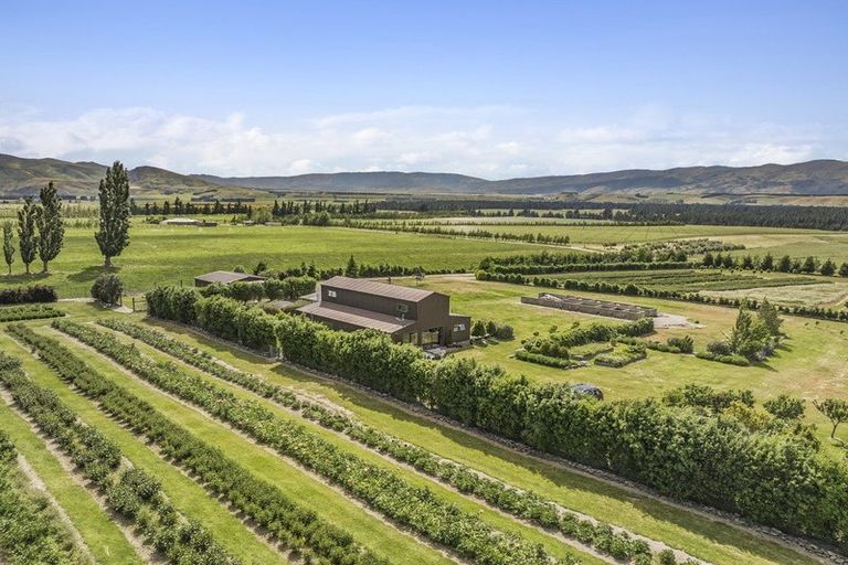 Photo of property in 42d Gladsmuir Road, Queensberry, Cromwell, 9383