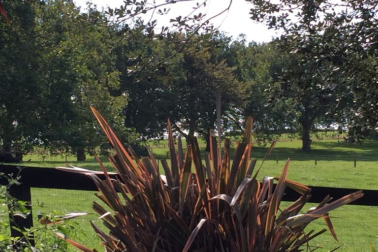 Photo of property in 33 Stirling Drive, Morrinsville, 3300