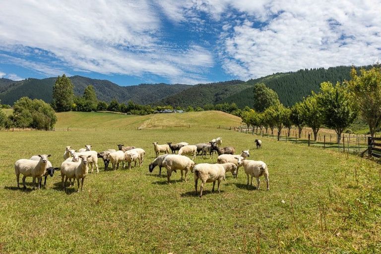 Photo of property in 22 Hebberds Road, Rai Valley, 7192