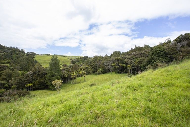 Photo of property in 158 Kereru Lane, Kaiwaka, 0573