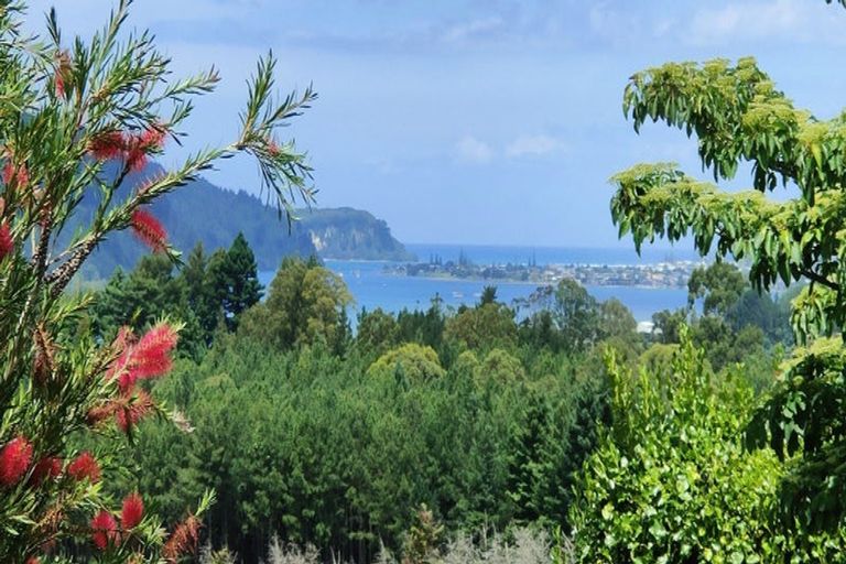 Photo of property in 709 Tairua Sh25 Road, Onemana, Whangamata, 3691