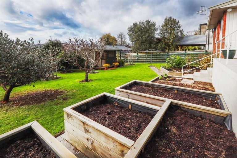 Photo of property in 428 Pukehangi Road, Pomare, Rotorua, 3015