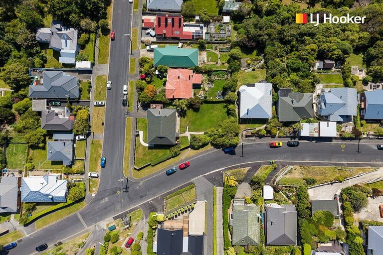 Photo of property in 38 Spottiswoode Street, Andersons Bay, Dunedin, 9013