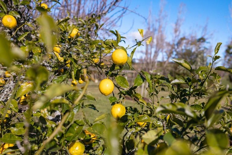 Photo of property in 917 Port Albert Road, Wellsford, 0973