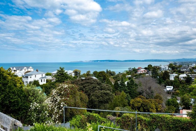 Photo of property in 12 Lighthouse Road, Bluff Hill, Napier, 4110