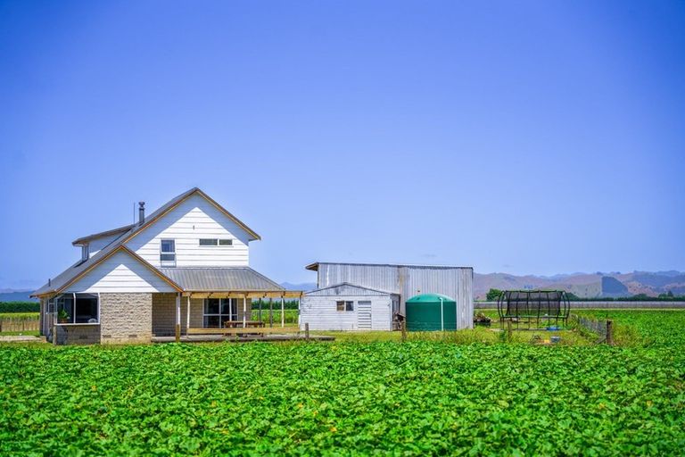 Photo of property in 375 Matawai Road, Waerengaahika, Gisborne, 4071