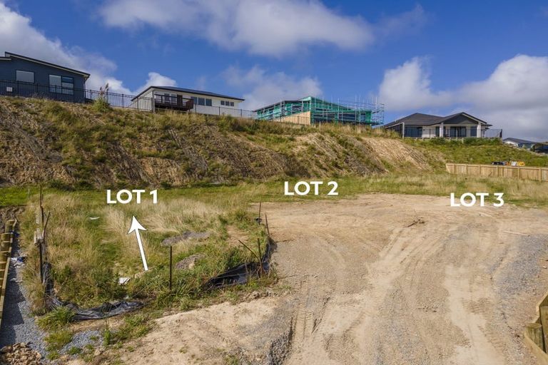 Photo of property in 65 Ken Douglas Drive, Aotea, Porirua, 5024