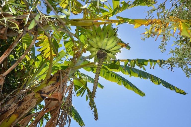 Photo of property in 544aa Mahia East Coast Road, Mahia, Nuhaka, 4198