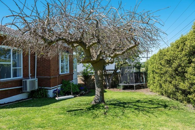 Photo of property in 1 Norman Street, Tainui, Dunedin, 9013