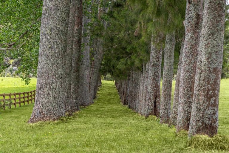 Photo of property in 713 Ararimu Valley Road, Helensville, 0882