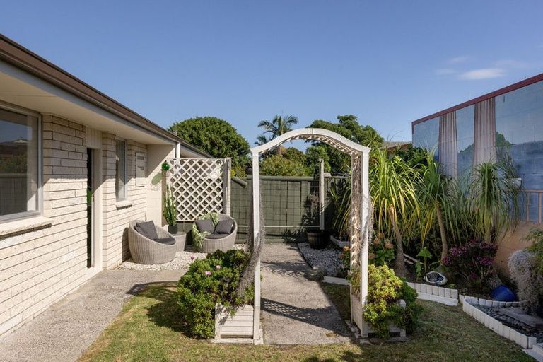 Photo of property in 41 Concord Avenue, Mount Maunganui, 3116