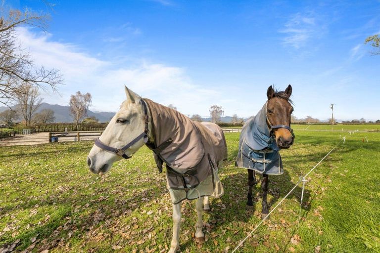 Photo of property in 88 Seddon Road, Waitoa, Te Aroha, 3393