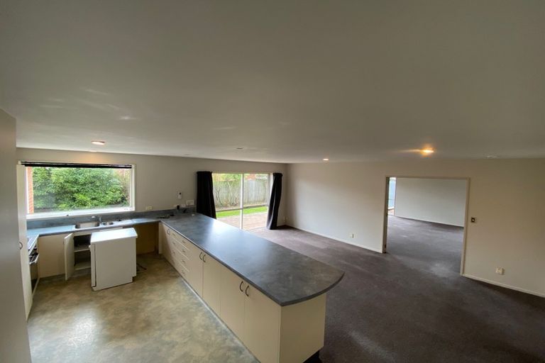 Photo of property in 19a Donegal Street, Belfast, Christchurch, 8051