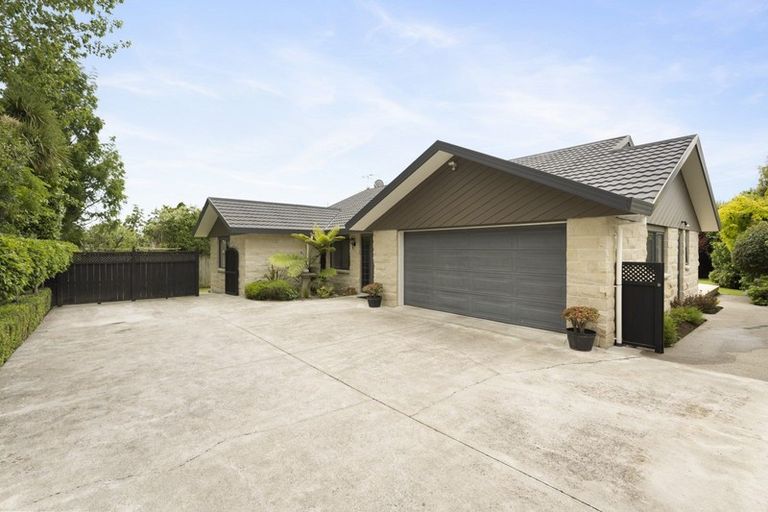 Photo of property in 87 Macarthur Street, Levin, 5510