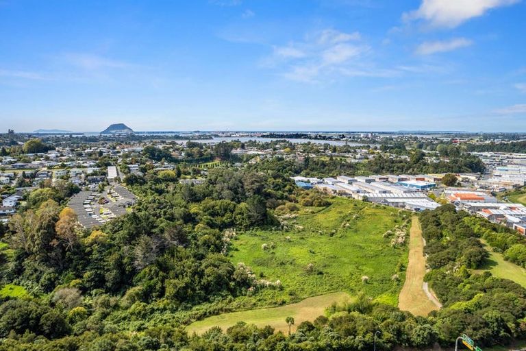 Photo of property in 53 Winchester Terrace, Bethlehem, Tauranga, 3110