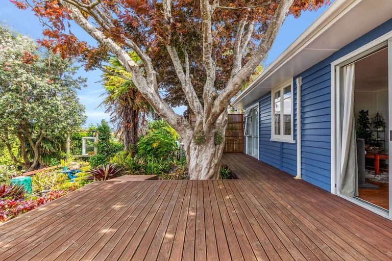 Photo of property in 53 Hampton Terrace, Parkvale, Tauranga, 3112