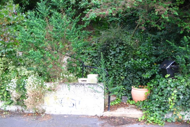 Photo of property in 42 College Street, Caversham, Dunedin, 9012