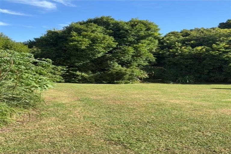 Photo of property in 117 Manuka Road, Bayview, Auckland, 0629